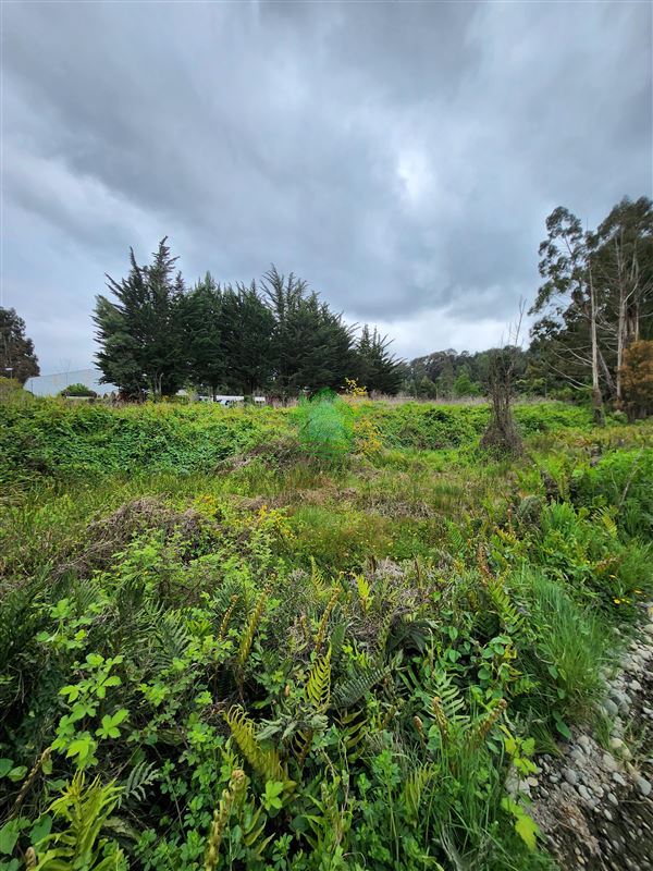 Terreno en venta en Valdivia — foto 6