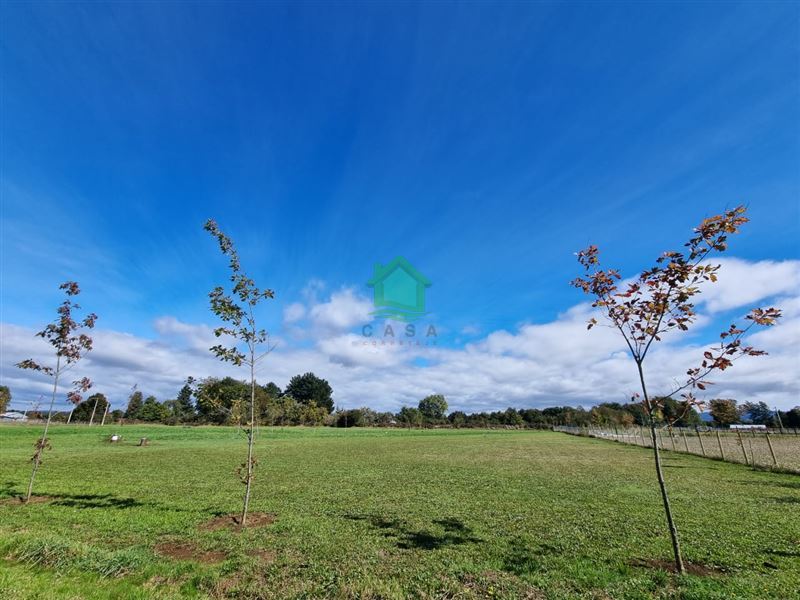 Parcela en venta en Valdivia — foto 1