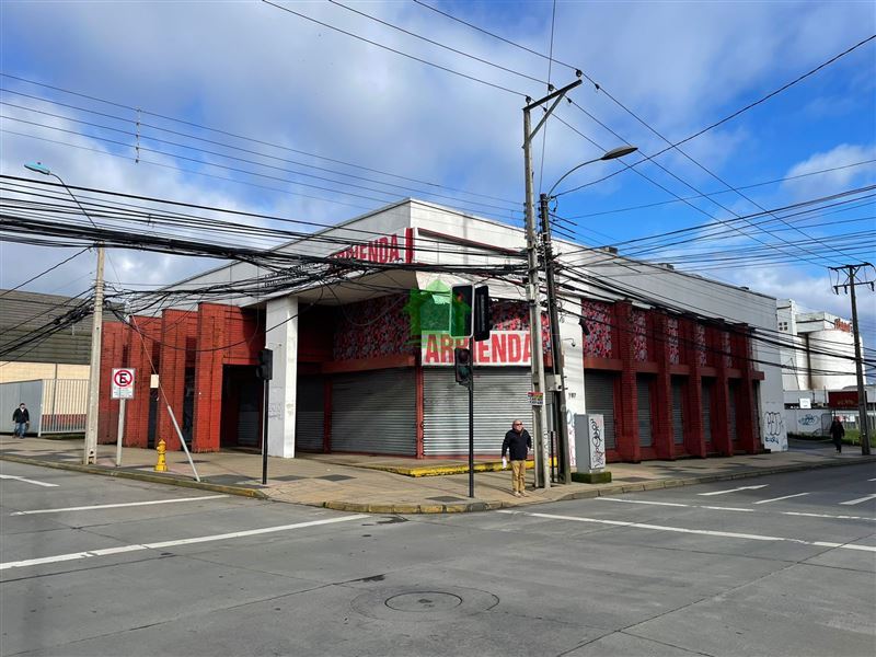 Oficina en arriendo en Osorno — foto 1