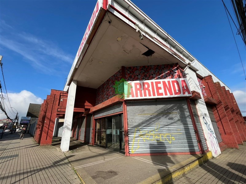 Oficina en arriendo en Osorno — foto 5