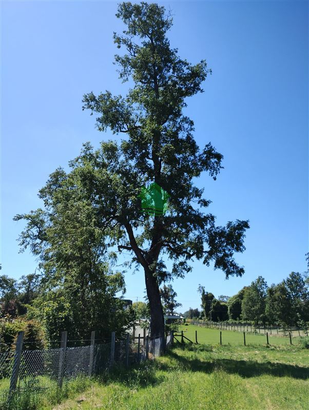 Parcela en venta en Osorno — foto 2