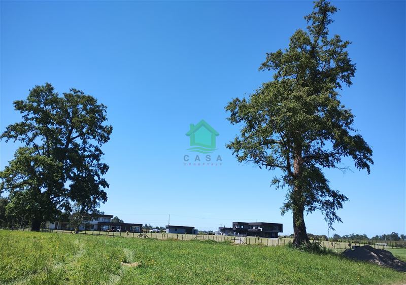 Parcela en venta en Osorno — foto 5