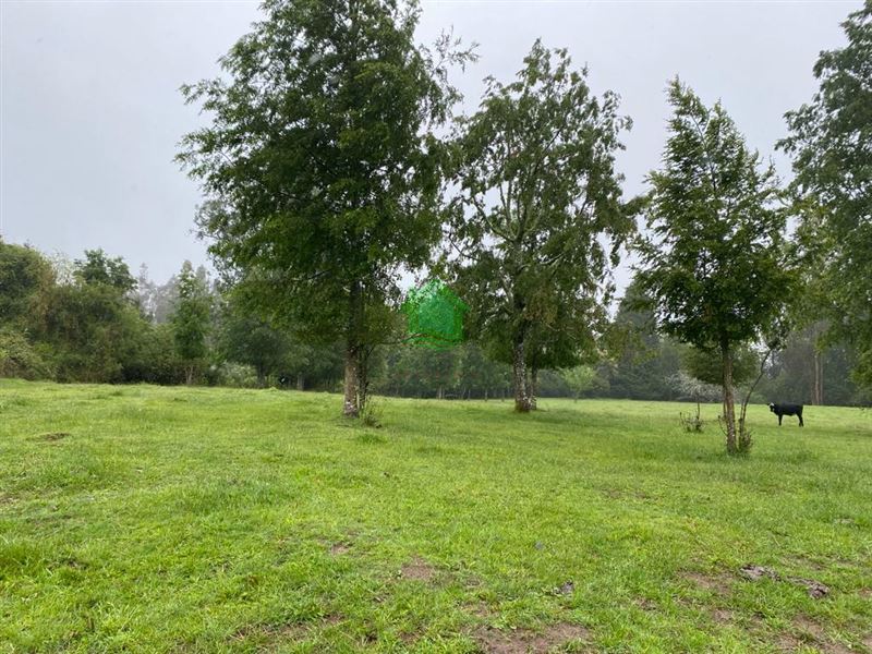 Parcela en venta en Valdivia — foto 1
