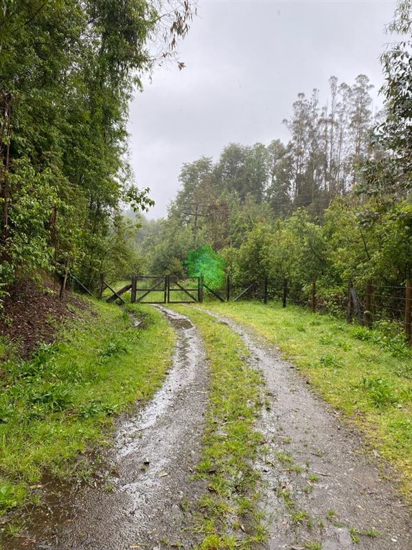 Parcela en venta en Valdivia — foto 4