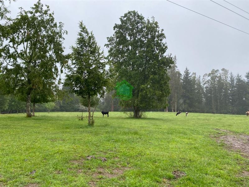 Parcela en venta en Valdivia — foto 5