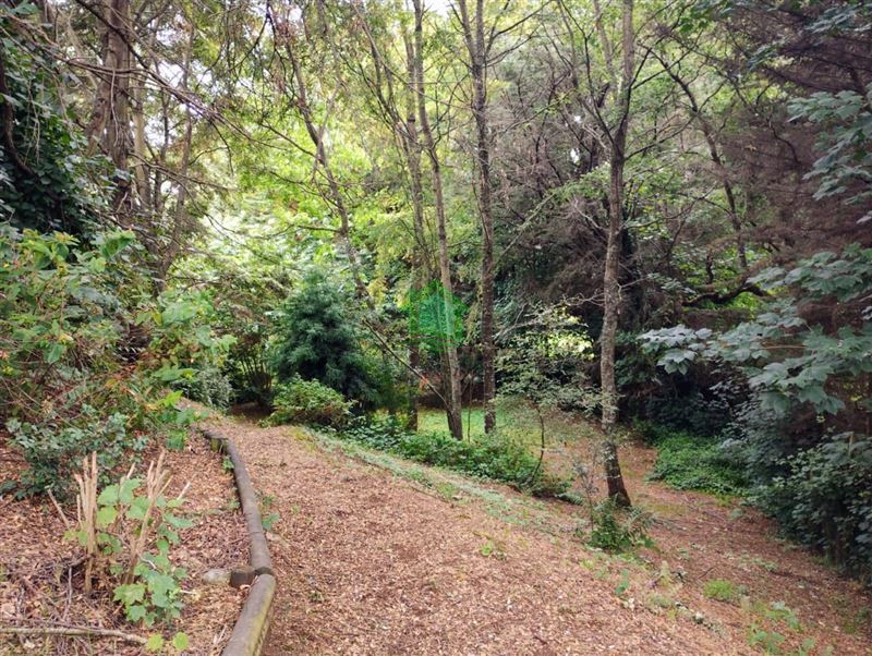 Casa en venta en Osorno — foto 6