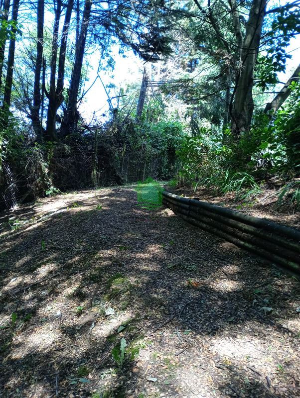Casa en venta en Osorno — foto 7