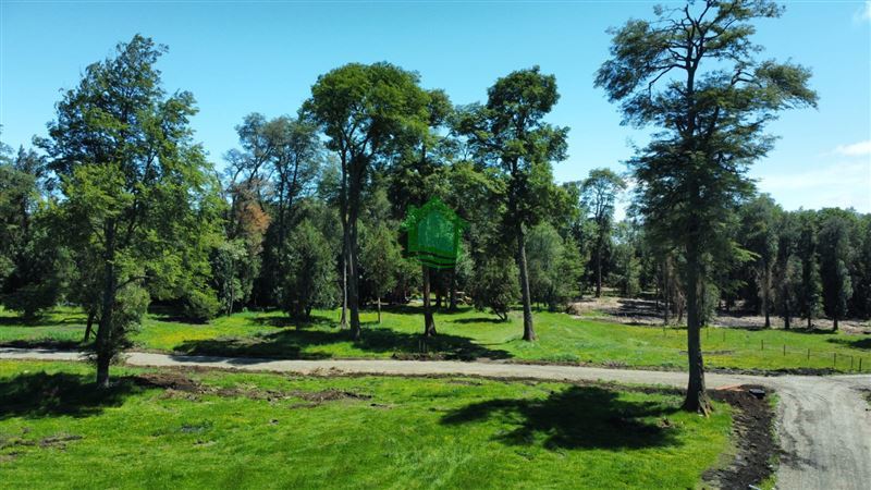 Parcela en venta en Puyehue — foto 1