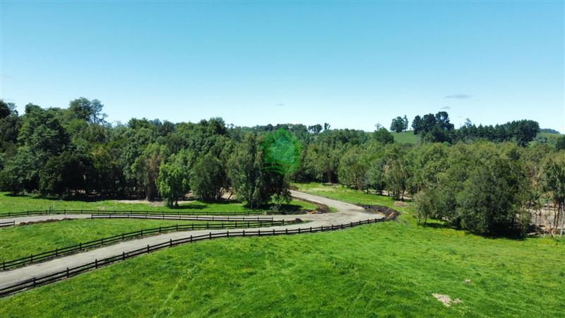 Parcela en venta en Puyehue — foto 2