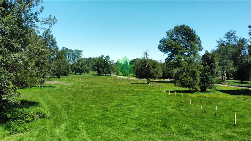 Parcela en venta en Puyehue — foto 4