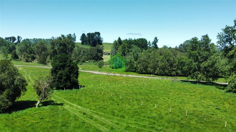 Parcela en venta en Puyehue — foto 5
