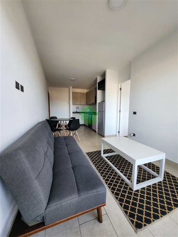 Departamento en venta en Valdivia — foto 3