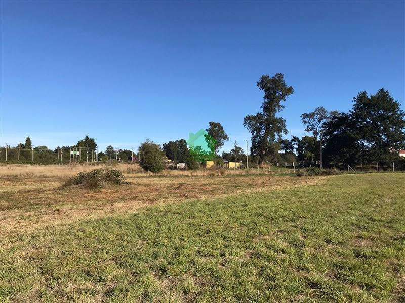 Terreno en venta en Osorno — foto 1