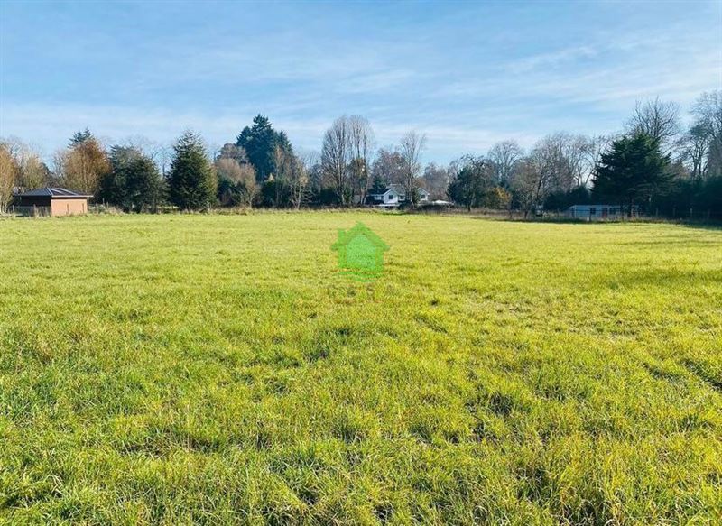 Terreno en venta en Osorno — foto 3