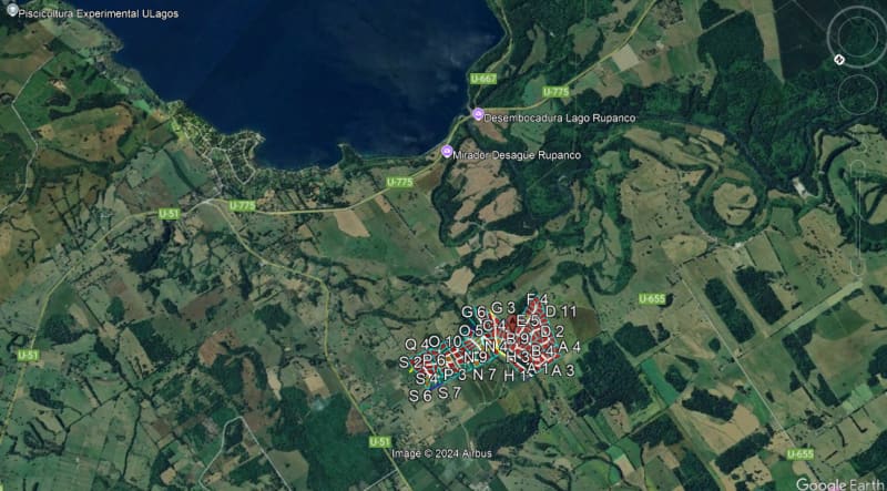Terreno en venta en Puyehue — foto 4