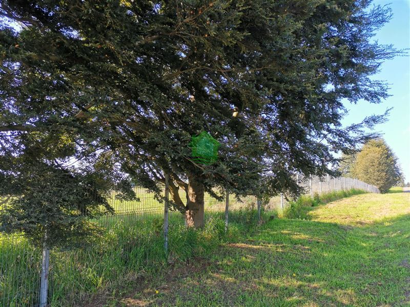 Parcela en venta en Osorno — foto 8