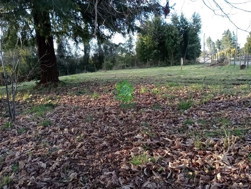 Parcela en venta en Valdivia — foto 2