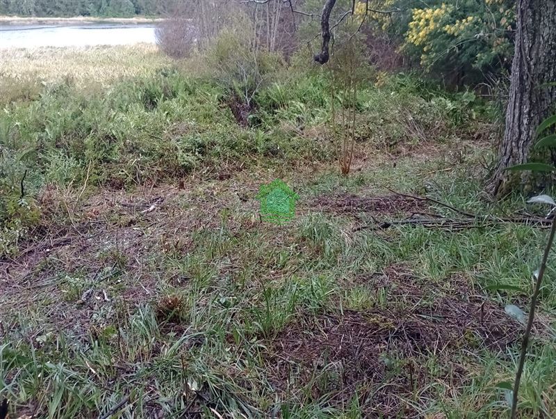 Parcela en venta en Valdivia — foto 3