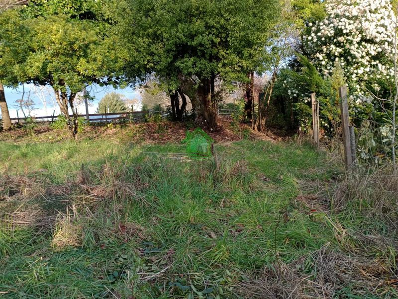 Parcela en venta en Valdivia — foto 5