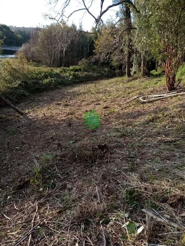 Parcela en venta en Valdivia — foto 6