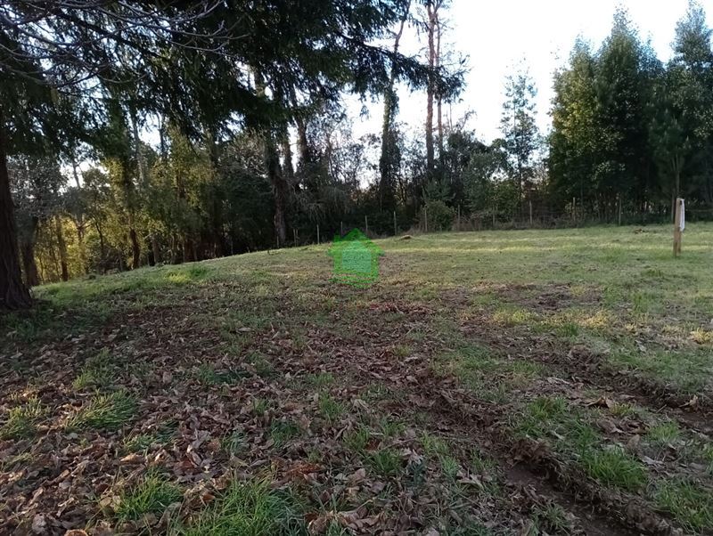 Parcela en venta en Valdivia — foto 7