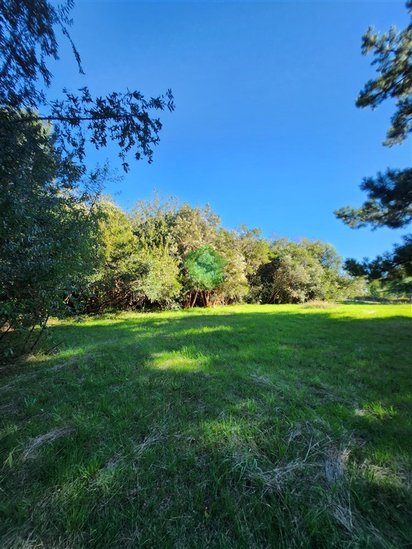 Parcela en venta en Valdivia — foto 1