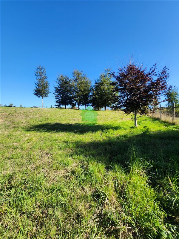 Parcela en venta en Valdivia — foto 4