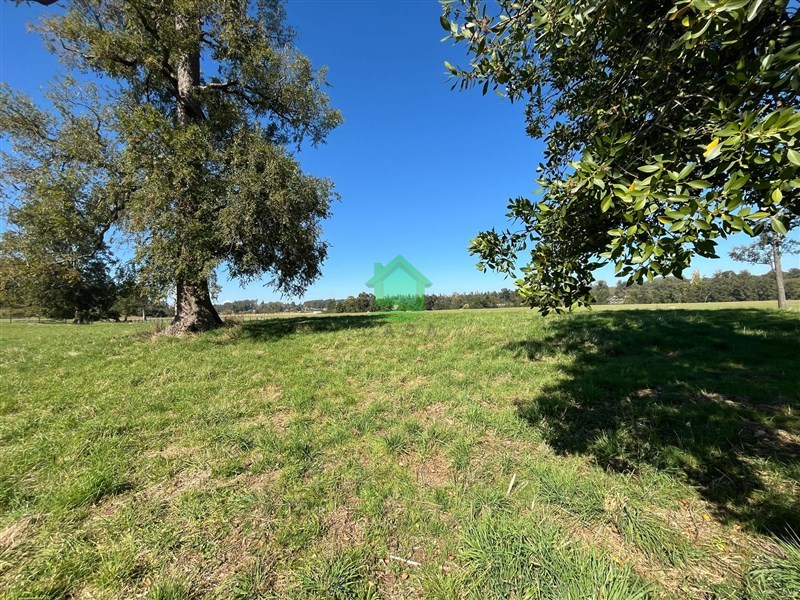 Parcela en venta en Río Negro — foto 4