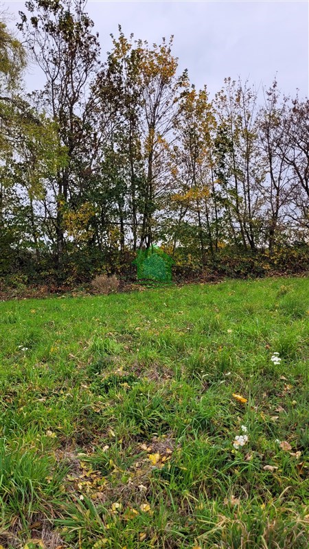Terreno en venta en Osorno — foto 1