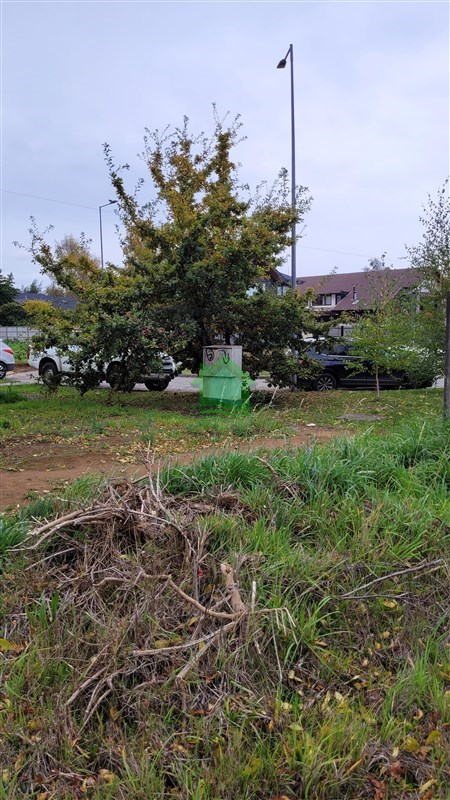 Terreno en venta en Osorno — foto 2