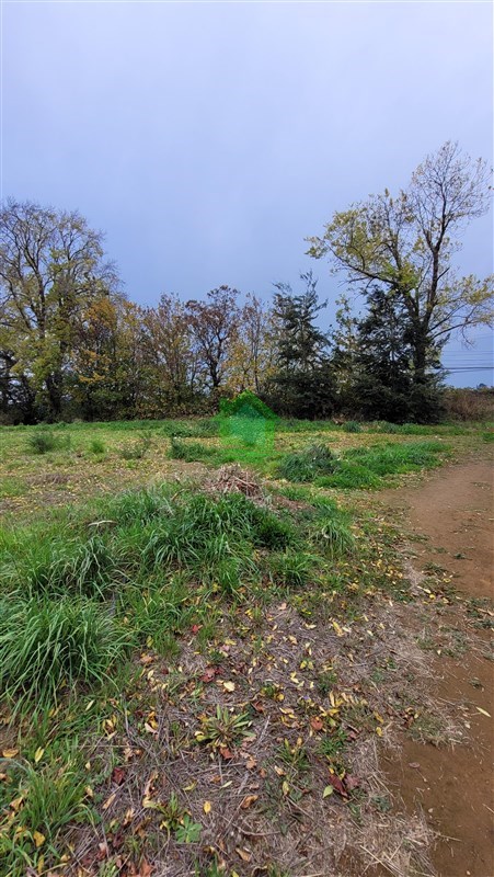 Terreno en venta en Osorno — foto 6