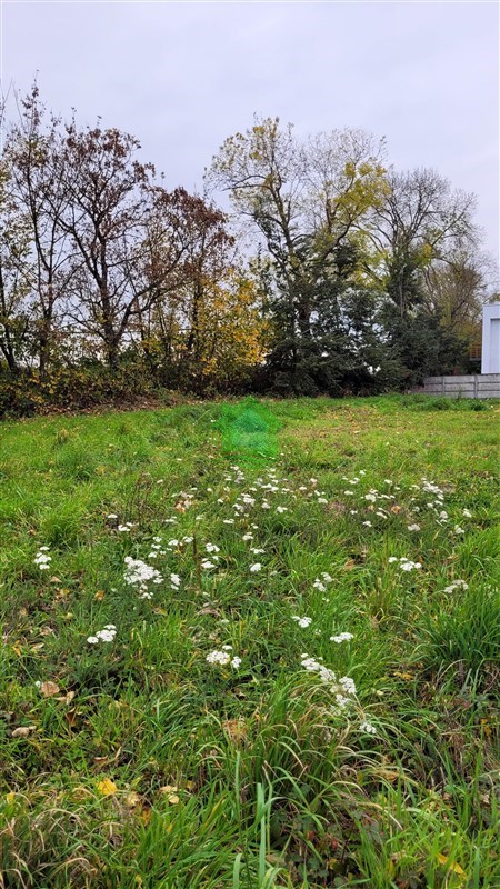 Terreno en venta en Osorno — foto 9
