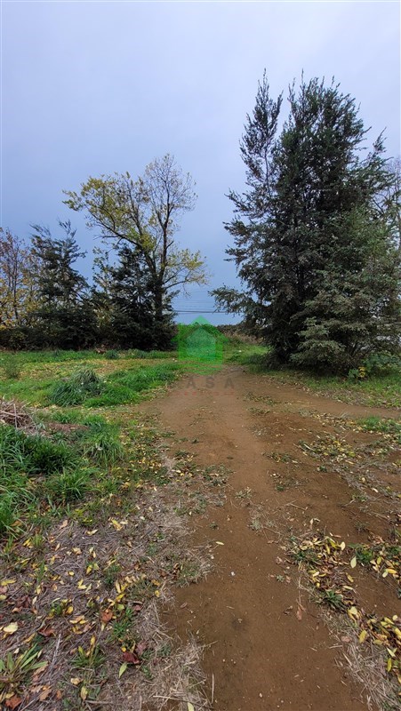 Terreno en venta en Osorno — foto 10