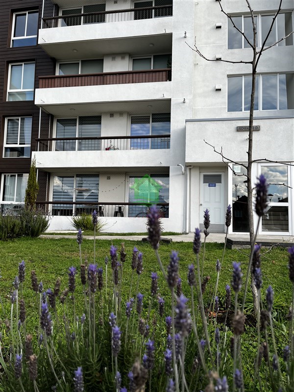 Departamento en arriendo en Osorno — foto 4