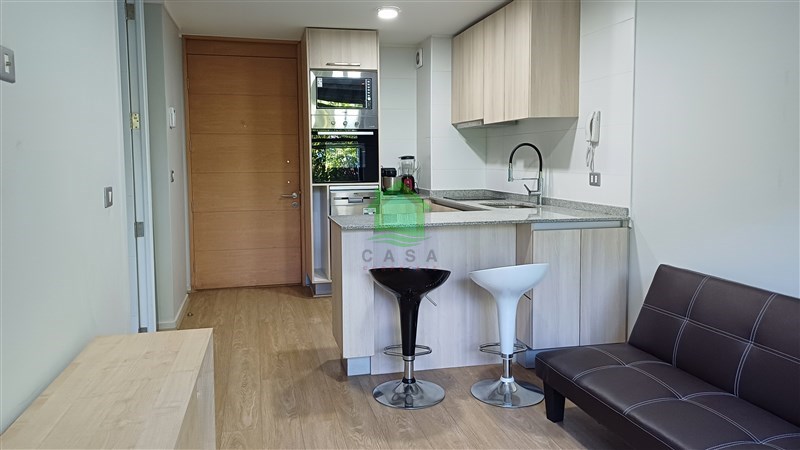 Departamento en venta en Valdivia — foto 1