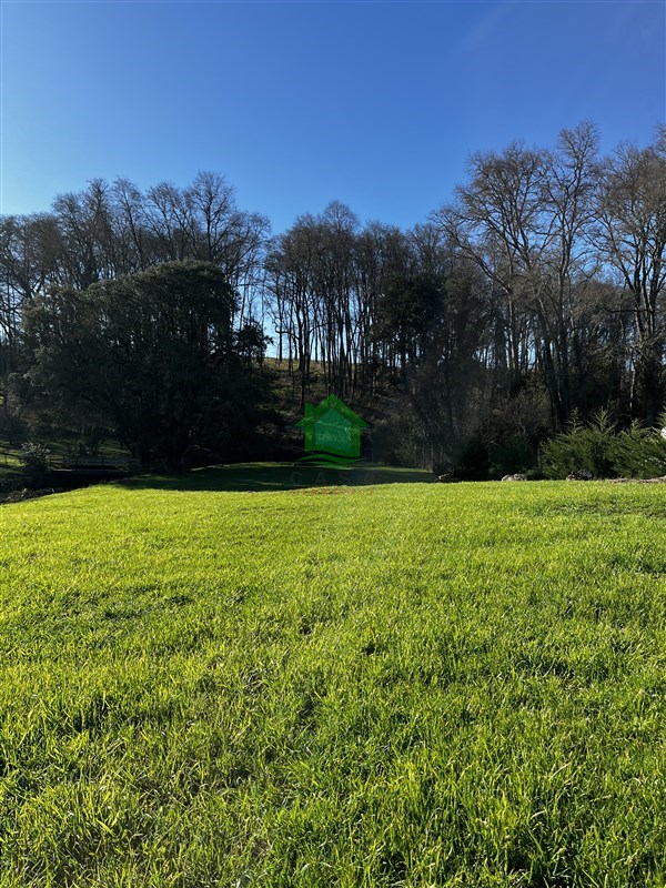 Parcela en venta en Osorno — foto 1