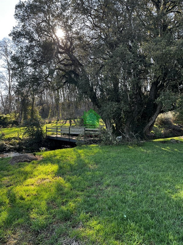 Parcela en venta en Osorno — foto 4