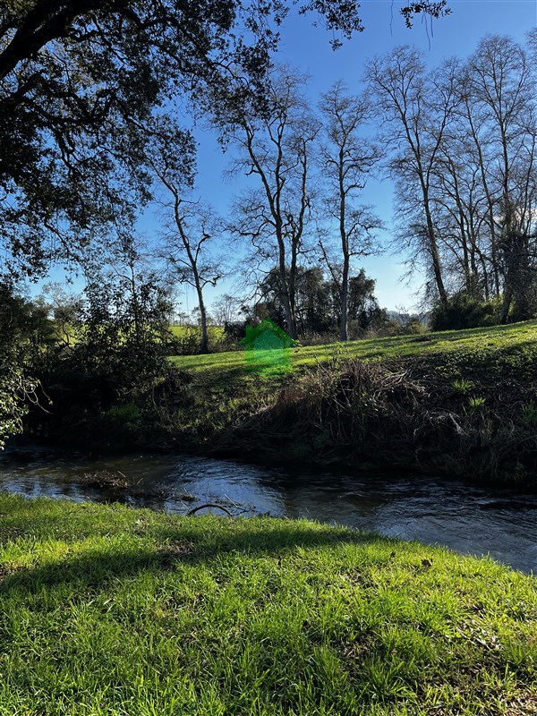 Parcela en venta en Osorno — foto 5