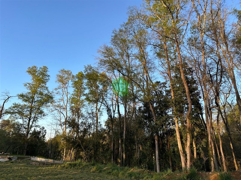 Terreno en venta en Osorno — foto 3