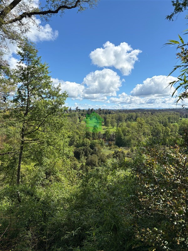 Parcela en venta en Osorno — foto 4
