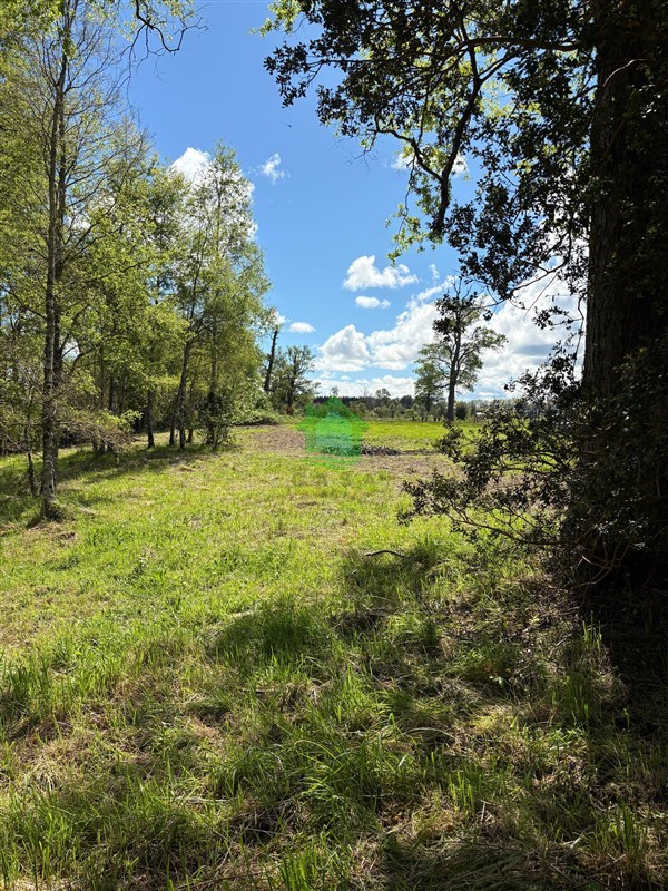 Parcela en venta en Osorno — foto 7