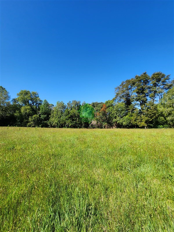 Parcela en venta en Valdivia — foto 2