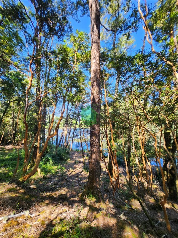 Parcela en venta en Valdivia — foto 7