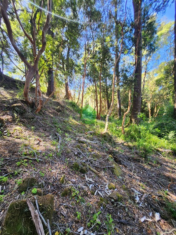 Parcela en venta en Valdivia — foto 8