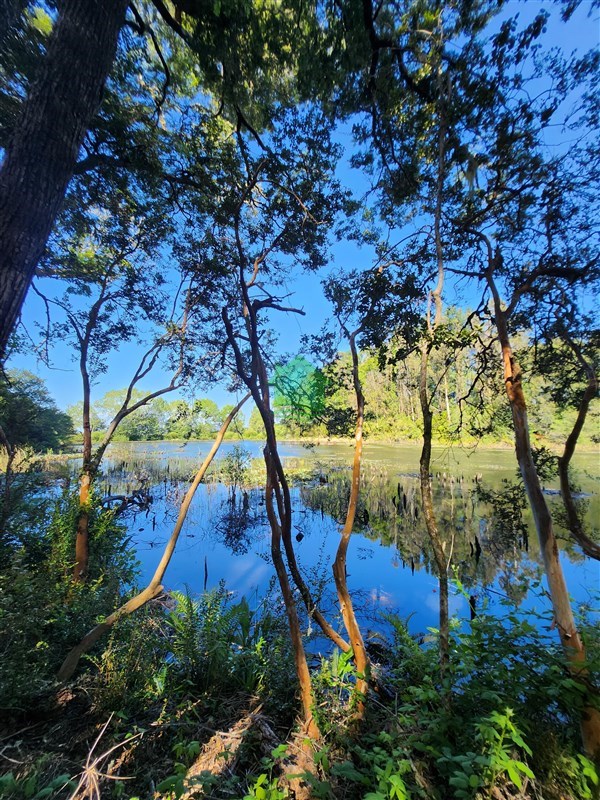 Parcela en venta en Valdivia — foto 9