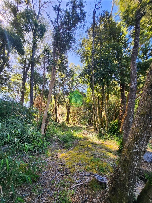 Parcela en venta en Valdivia — foto 10