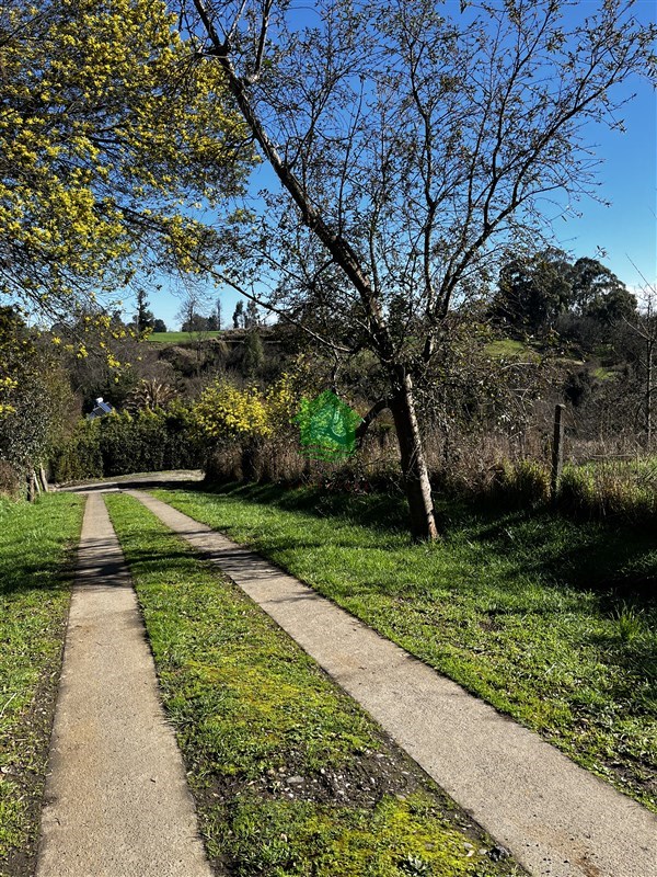 Parcela en venta en Osorno — foto 3