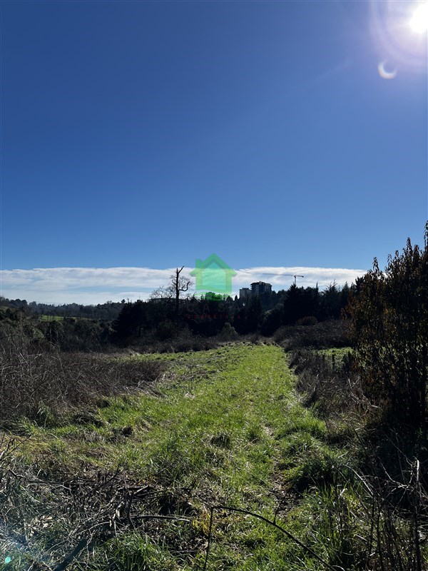 Parcela en venta en Osorno — foto 6
