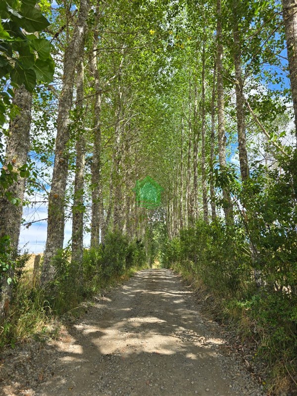 Parcela en venta en Valdivia — foto 2