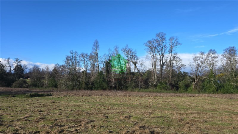 Parcela en venta en Valdivia — foto 4